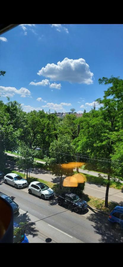Schoene Altbauwohnung Wien Zentrum Brigittenauer Laende 32 Экстерьер фото