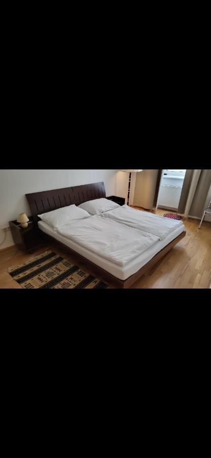 Schoene Altbauwohnung Wien Zentrum Brigittenauer Laende 32 Экстерьер фото