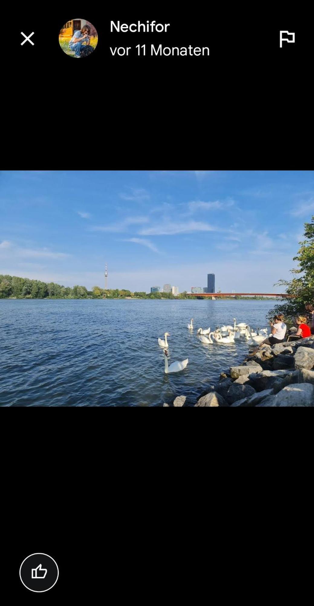 Schoene Altbauwohnung Wien Zentrum Brigittenauer Laende 32 Экстерьер фото